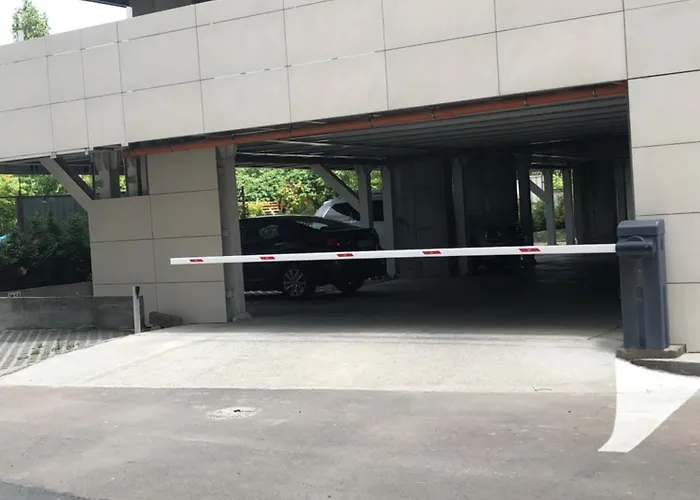 Mamaia's Minimalist Loft