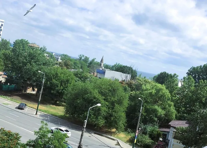 Mamaia's Minimalist Loft